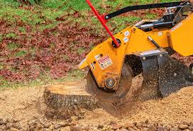 Grass Overseeding in Pinch, WV